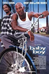 Baby Boy poster