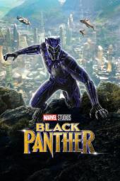 Black Panther poster