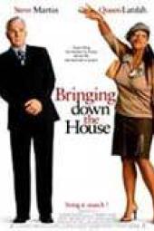 Bringing Down the House poster