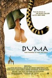 Duma poster