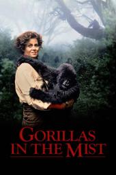 Gorillas in the Mist poster