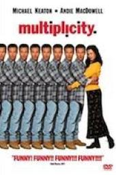 Multiplicity poster