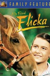My Friend Flicka poster