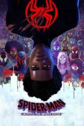 Spider-Man: Across the Spider-Verse poster