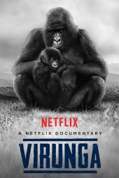 Virunga poster