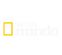 NGMUN Logo