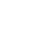 STZw Logo
